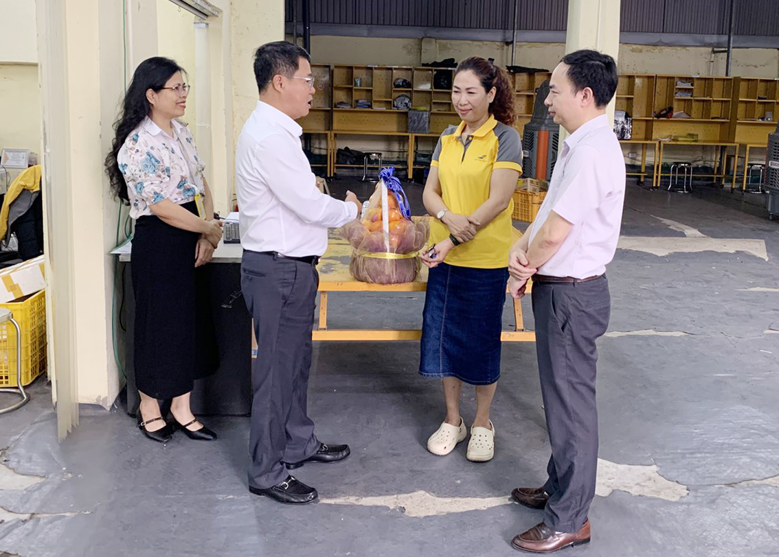 Chủ tịch Hội đồng thành viên kiểm tra BCP Hà Đông 1: nâng cao chất lượng phát, giảm tồn đọng