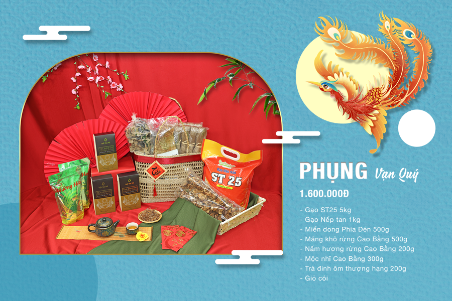 Proposal 900x600 Phụng