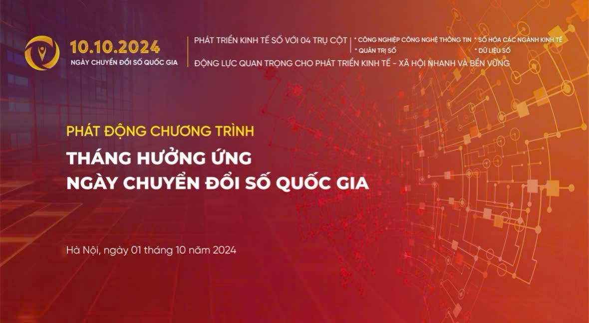 Cdsqg 1